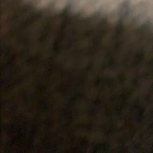 Meet your Posher, Phoenix